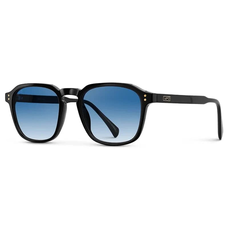 1073 Francis Polarized