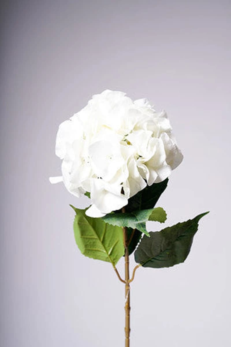 31" LG. HYDRANGEA WHITE