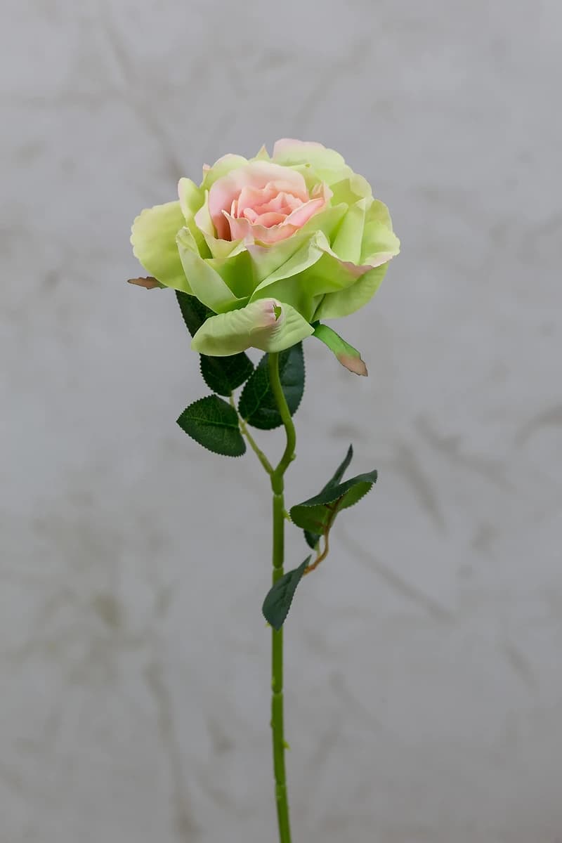 16" Bourbon Rose Pink/Green