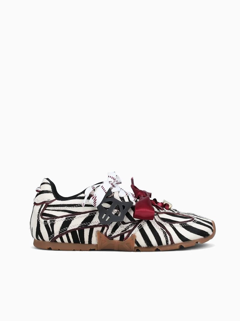 Adored Zebra Pony